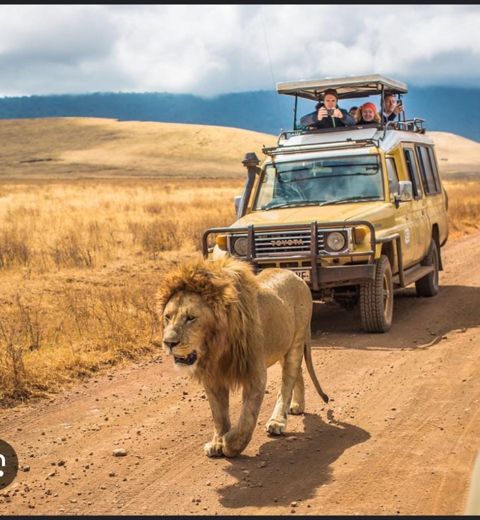 whatsapp image 2026 01 06 at 10.43.04