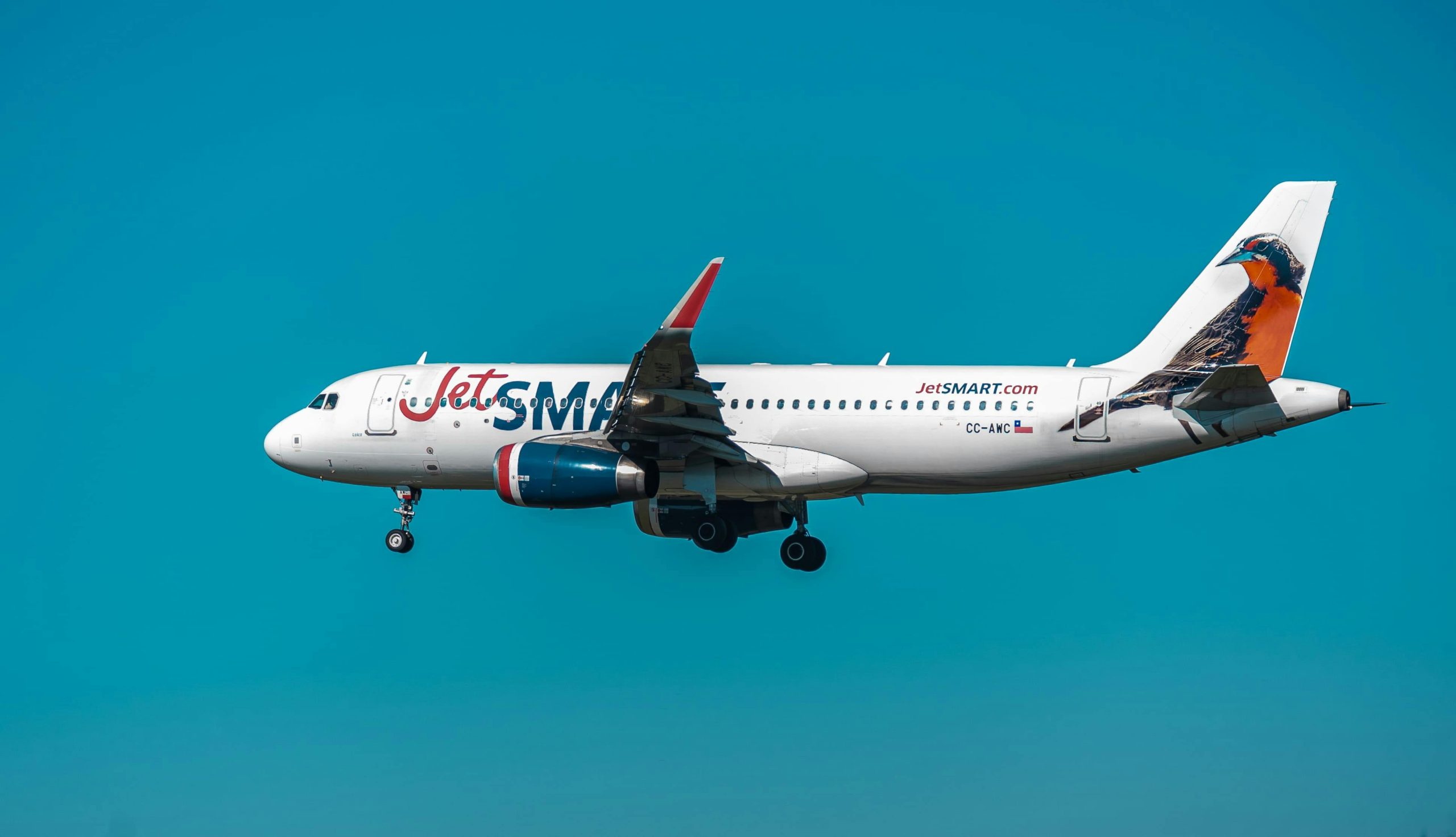 JetSmart airplane flying under a clear blue sky in Concepción, Chile.