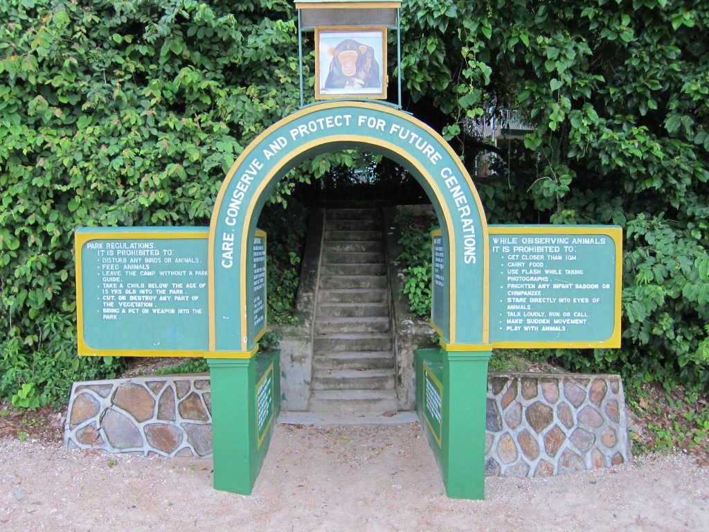 gombe stream national park, lake tanganyika, tanzania